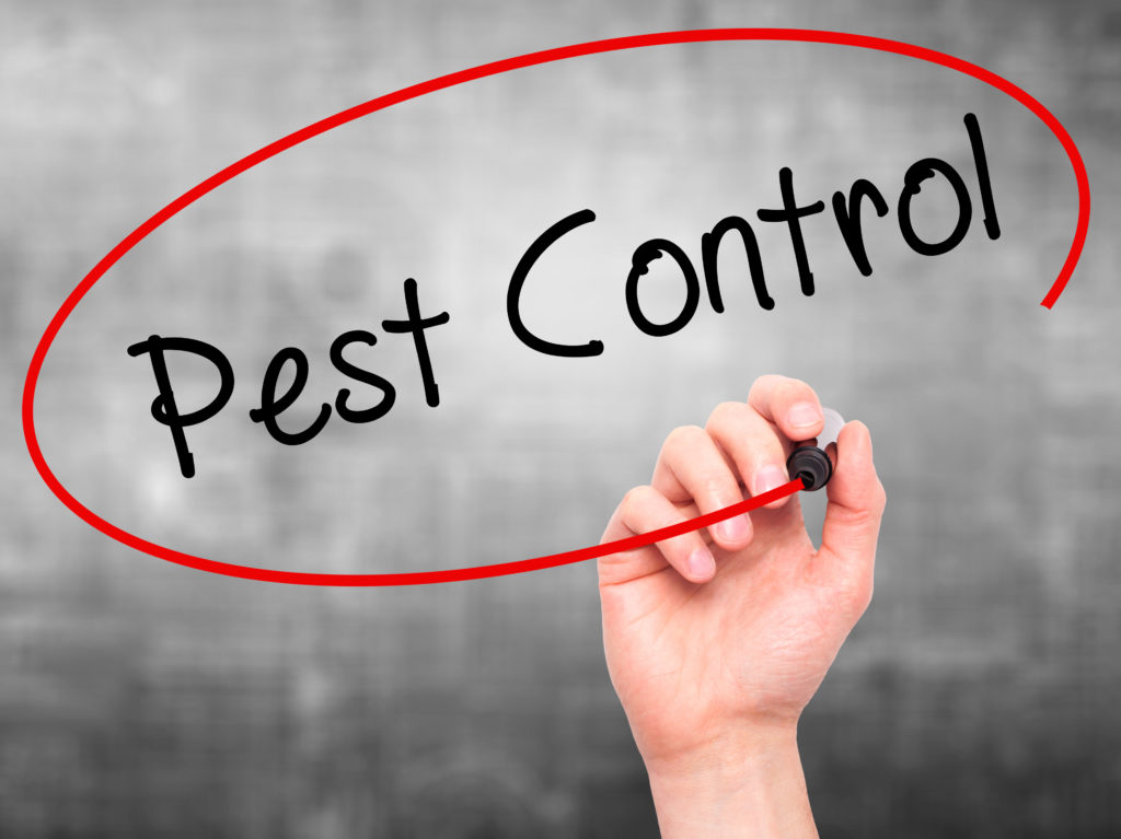 san antonio pest control